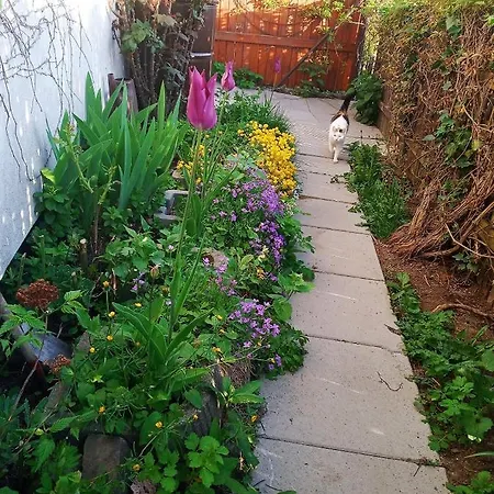 Melita - The Very Centre Of Town * Banská Štiavnica