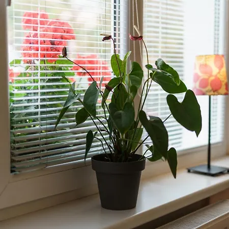 アパート Melita - The Very Centre Of Town Banská Štiavnica